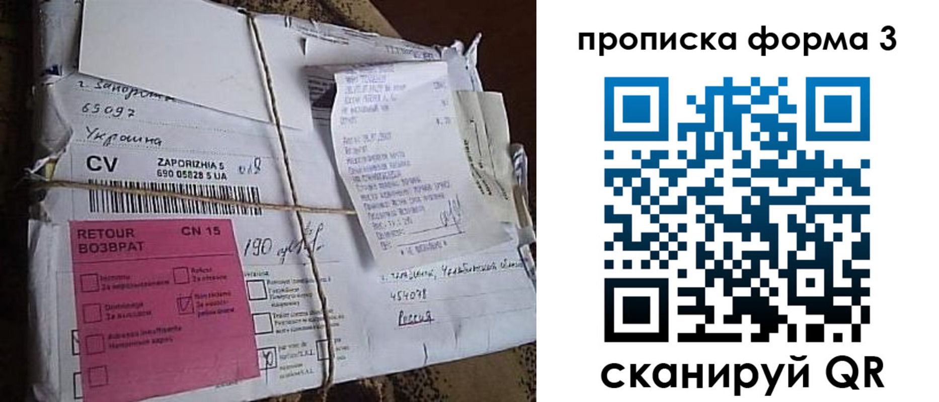 прописка 2025 в Светогорске